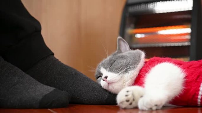 猫睡在木地板上的男人脚上，背上有电加热器
