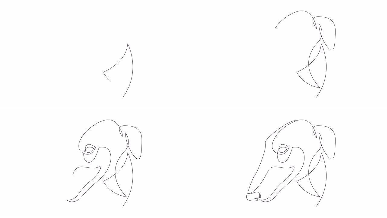 自绘单连续单线绘制灰狗的简单动画。狗头手工绘制，白底黑线。野生动物、宠物、兽医的概念。