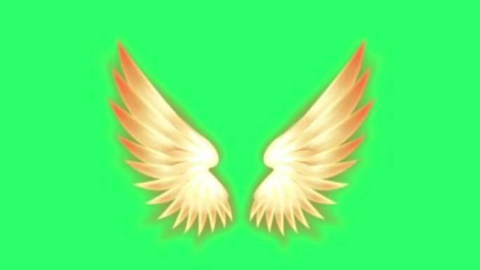 动画橙色翅膀隔离在绿色背景。