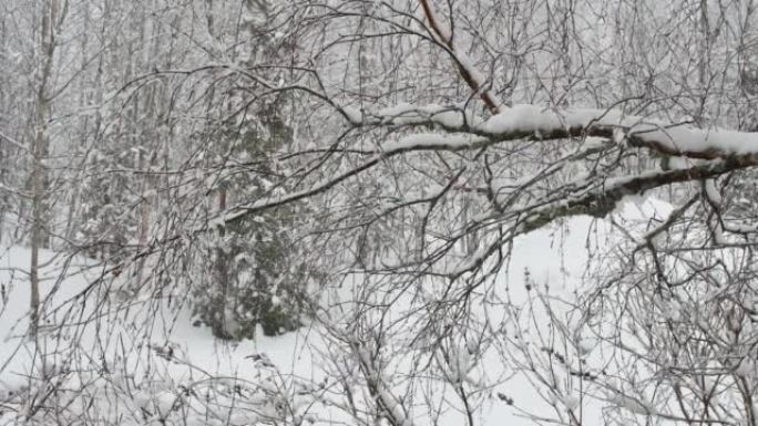 芬兰拉彭兰塔-04/05/2022: 4月的暴风雪