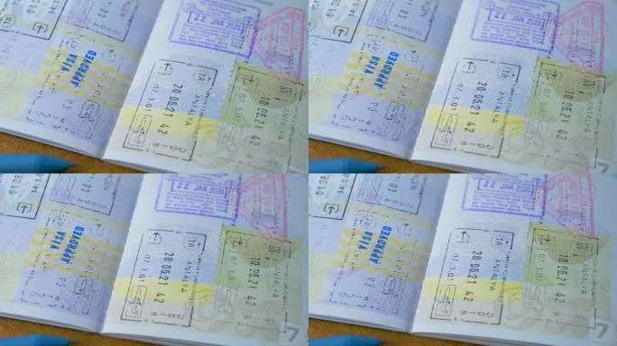 在护照上盖旅游签证章，批准决定