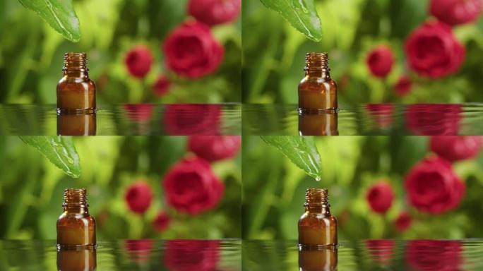 将油从叶子滴入瓶子特写镜头，植物汁液。在绿色背景上制作芳香血清。滴液花提取物，护肤常规，水疗概念。传