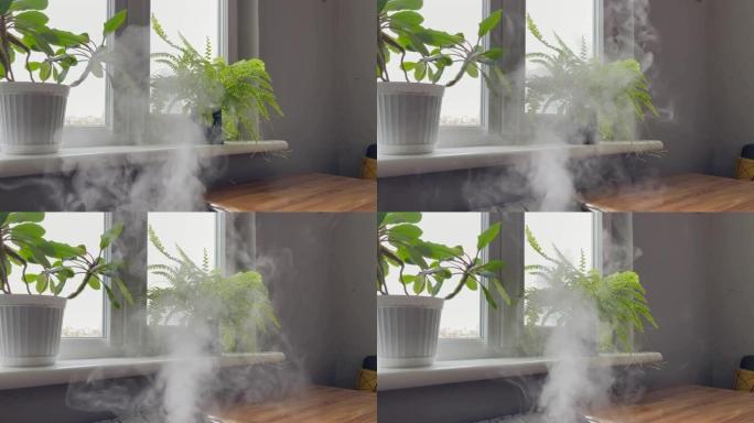 家用植物加湿器的水雾蒸汽。在家加湿。