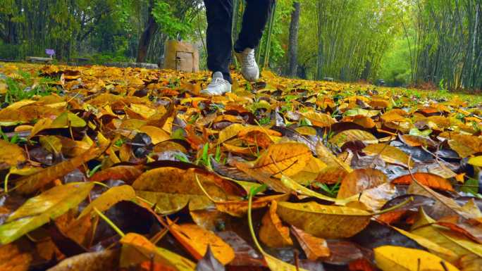 实拍春雨中广州公园游人走过落叶满地的草地