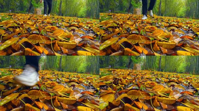 实拍春雨中广州公园游人走过落叶满地的草地