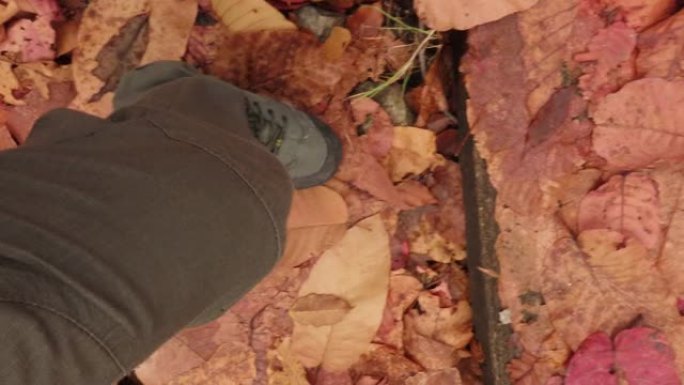 在森林的秋叶上行走的人的腿