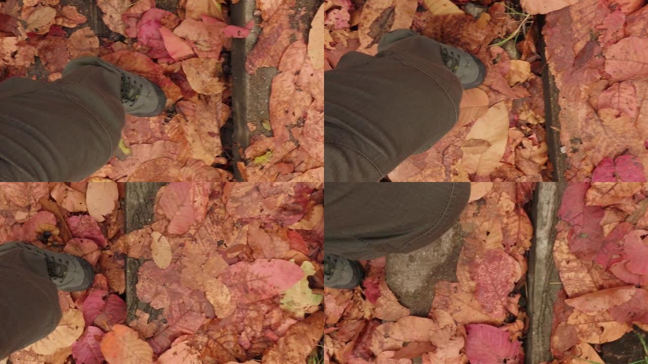 在森林的秋叶上行走的人的腿