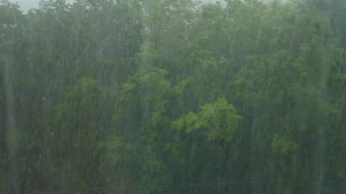 夏天下大雨。从森林的窗户看一场倾盆大雨。