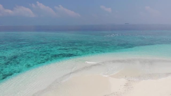 无人机跟随一群白色海鸥在热带沙洲上，绿松石水和白沙，达拉万德胡，马尔代夫，印度洋。珊瑚和鸟类的航拍视