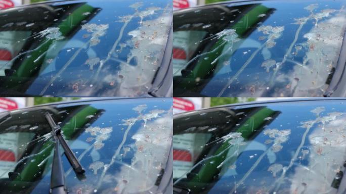 汽车挡风玻璃清洗机，鸟儿从鸟瞰的角度搞砸了一辆车