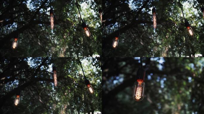 挂在树上的复古灯