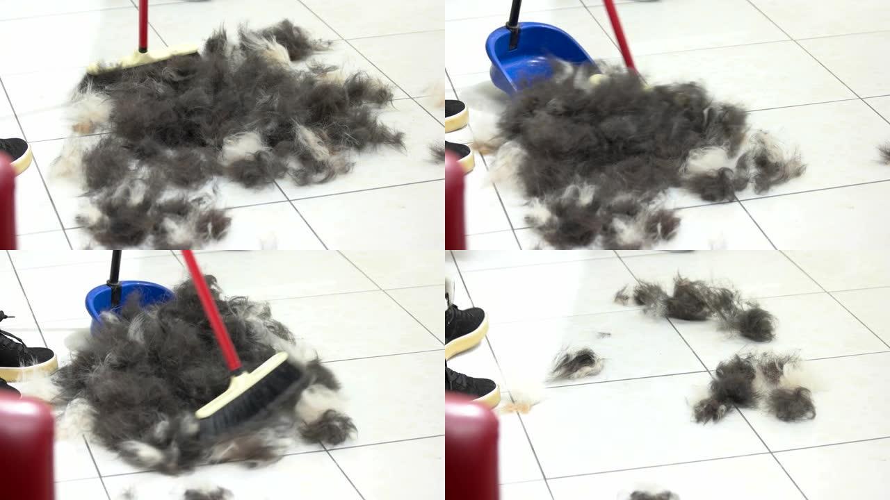 推扫帚清扫狗毛。