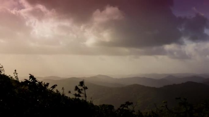 云雾森林，巴拿马延时摄影，大雾天气阴雨天