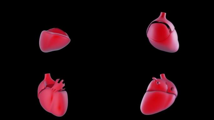 人体心脏医学器官移植打印模拟