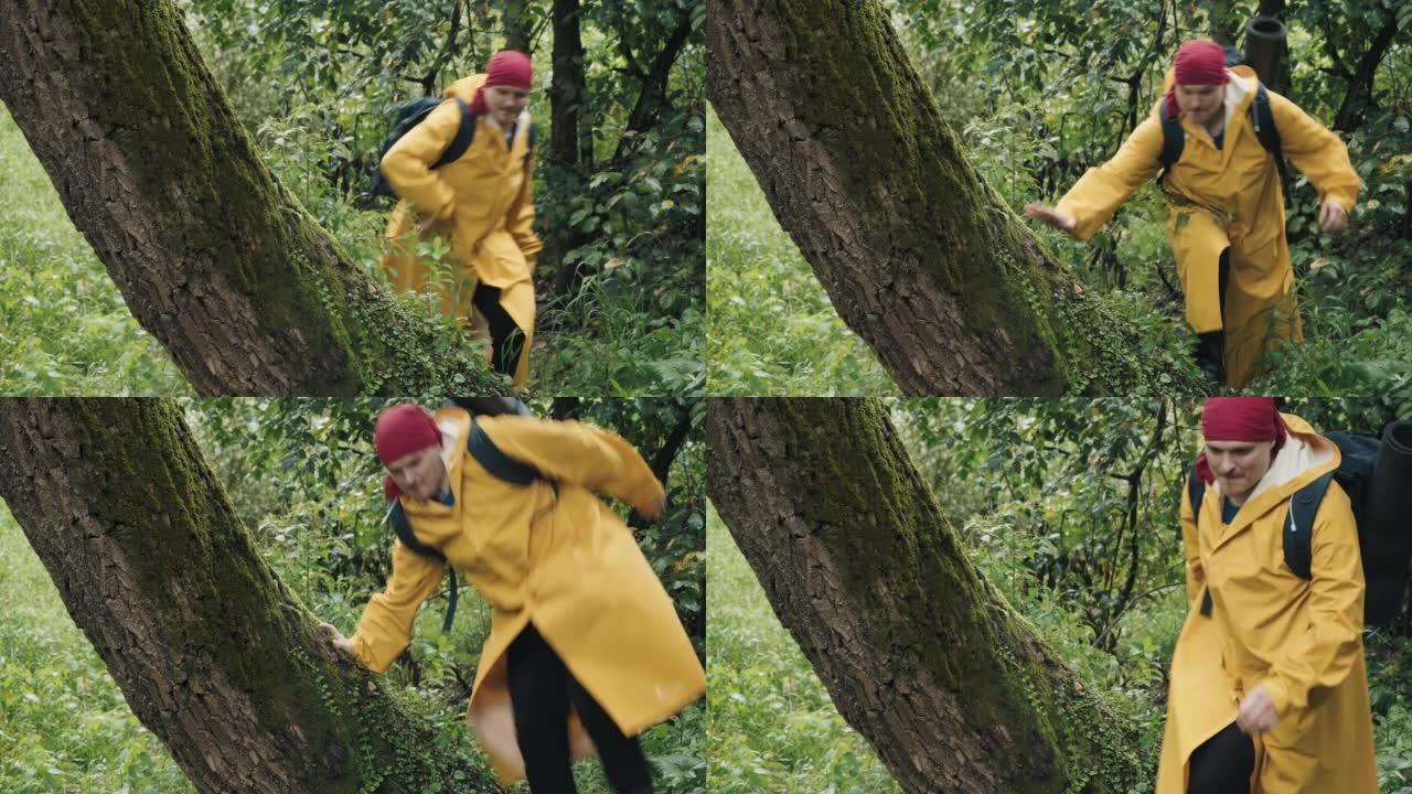 穿着红色头巾和黄色雨衣的徒步旅行者跳过森林中的一棵树