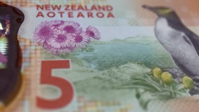 新西兰5美元纸币纸币观察和储备侧特写跟踪多莉拍摄100、50、20、10、5新西兰元纸币当前5美元纸