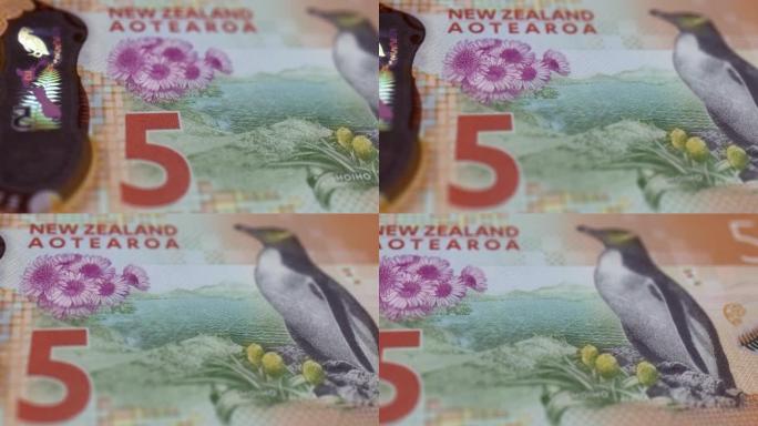 新西兰5美元纸币纸币观察和储备侧特写跟踪多莉拍摄100、50、20、10、5新西兰元纸币当前5美元纸