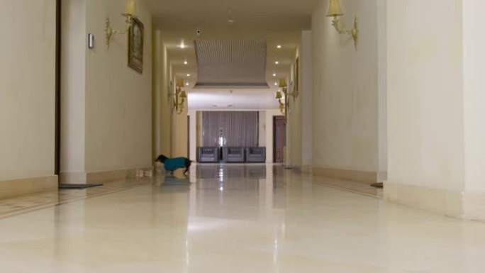 穿着毛圈浴袍的黑色毛皮斑点腊肠犬在酒店走廊上奔跑，房间之间铺有瓷砖光泽地板