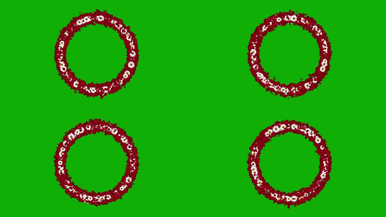 白色雏菊花圆圈运动图形与绿色屏幕背景