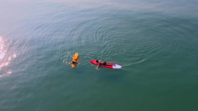 中海夏季板