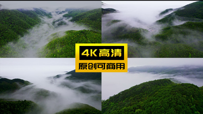 4K航拍原始森林大自然绿植雨后森林