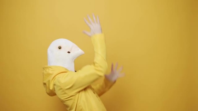 快乐的家伙喜欢在黄色背景上戴着鸽子面具跳舞。愚人节。