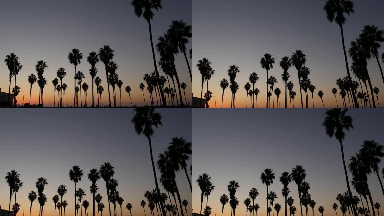剪影棕榈树和人们在日落时走在海滩上，美国加利福尼亚海岸