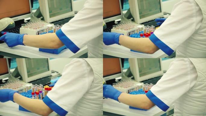 PCR测试-Covid-19.Testing血管。女医生在实验室对试管进行分类。抗体检测