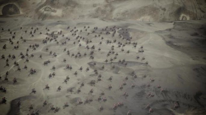 俯视图在战场上的大型古代军队的冲锋