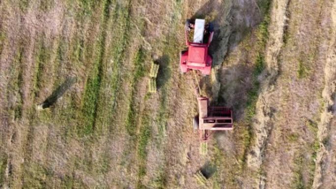 拖拉机正在形成干草，在农田田地上成方捆，鸟瞰图。