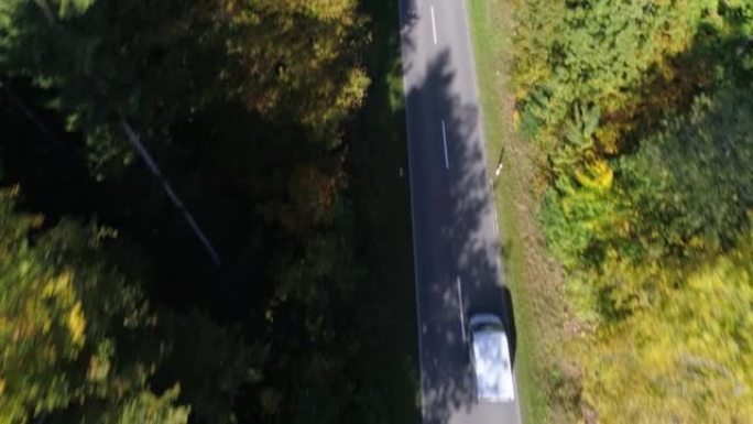 秋天在森林路上行驶的汽车