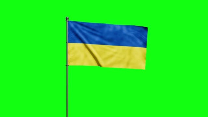 乌克兰国旗在风中飘扬，孤立在绿色的屏风上。循环录像。