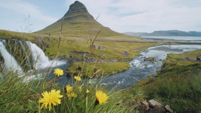 冰岛前景有鲜花的Kirkjufellsfoss和Kirkjufell