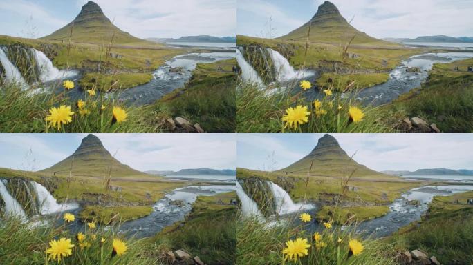 冰岛前景有鲜花的Kirkjufellsfoss和Kirkjufell