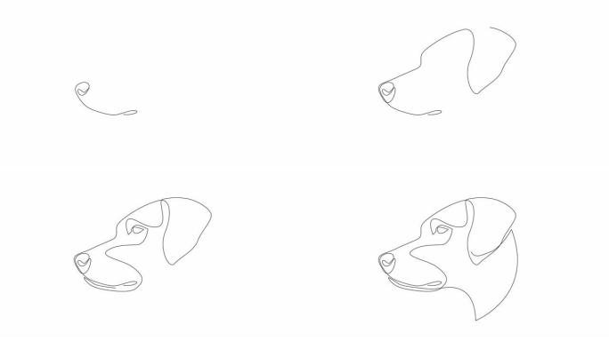 自绘单连续单线绘制罗得西亚脊背的简单动画。狗头手工绘制，白底黑线。野生动物、宠物、兽医的概念。