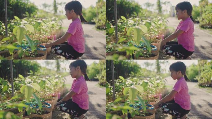 可爱的女孩在树店里散步和抱着植物。