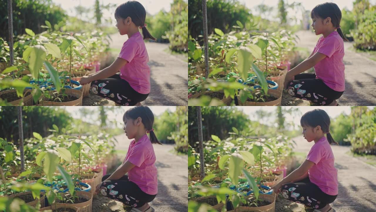 可爱的女孩在树店里散步和抱着植物。