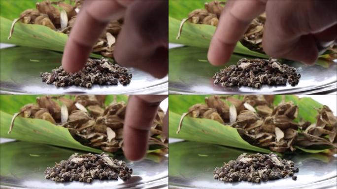 豆蔻种子堆在一个小的平板上，背景是空豆荚，豆蔻是一种用于食品和药品的芳香香料