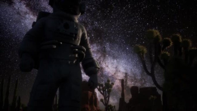 死亡谷的宇航员和恒星银河系形成