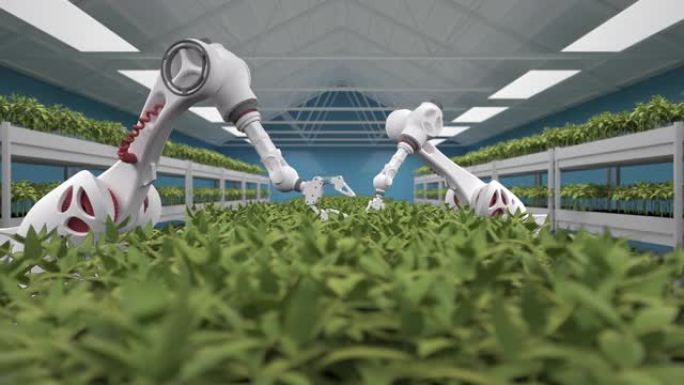 采用先进的机器人进行托盘种植，实现自动化种植过程。人工智能农业。