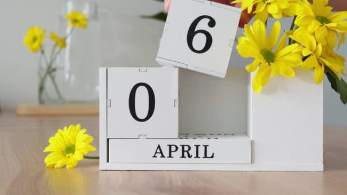 春季月份4月6日。女人的手翻过一个立方历法。黄色花朵旁边的桌子上的白色万年历。在一个月内更改日期。一