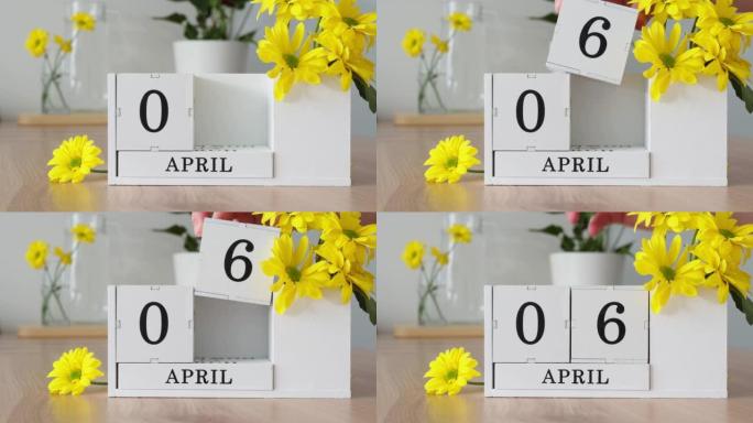 春季月份4月6日。女人的手翻过一个立方历法。黄色花朵旁边的桌子上的白色万年历。在一个月内更改日期。一