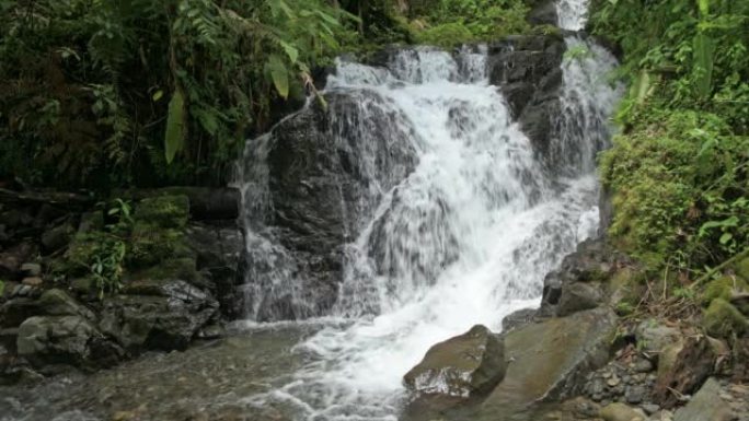 拉米斯塔德国际公园，带瀑布的热带云雾森林