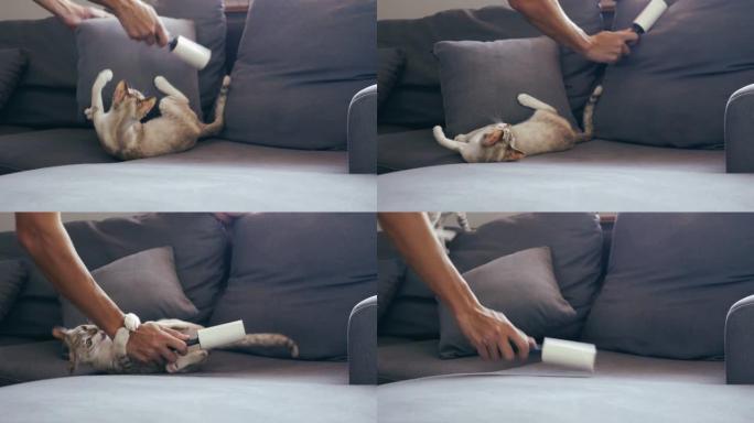 一个男人用粘粘的衣服滚轴从沙发上取下猫毛。
