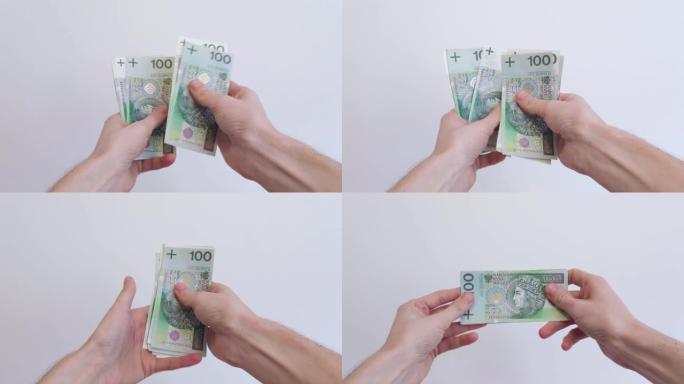 手数着波兰的钱。计算波兰100 PLN钞票的人。检查现金金额。
