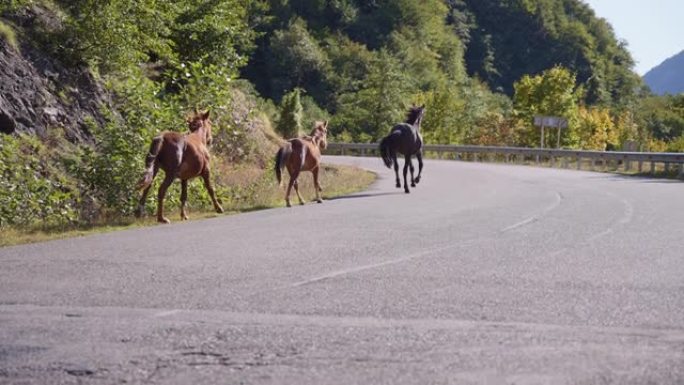 骑马在山路上奔跑