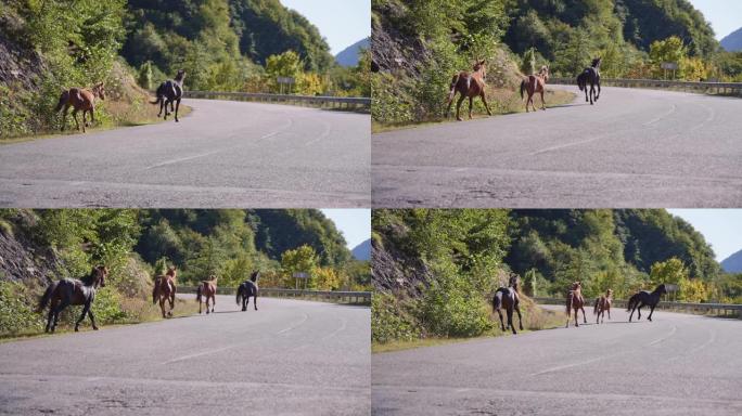骑马在山路上奔跑