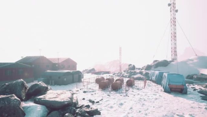 布朗站是一个南极基地和科学考察站