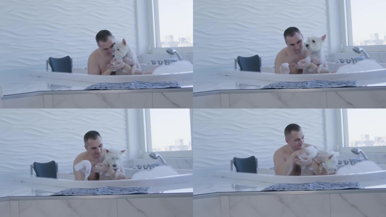 男人在热水浴缸里给白狗洗澡