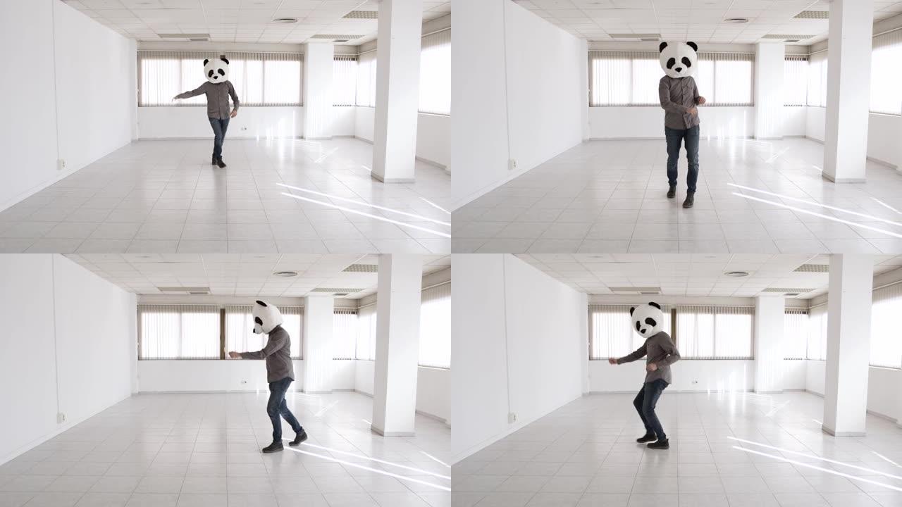 熊猫面具的开朗男人在新的空荡荡的办公室里跳舞